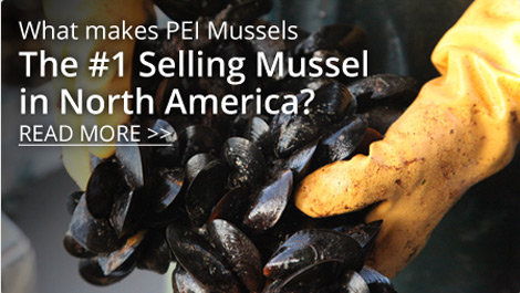 Top Selling Mussel