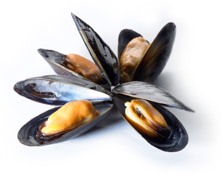 A bouquet of PEI mussels