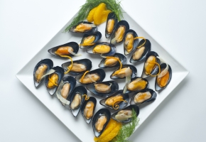 PEI Mussels on the Half Shell