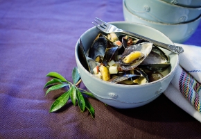 Normandy Mussels